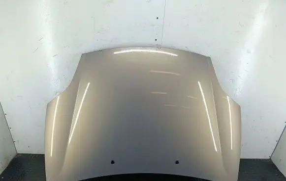 Fiat Bravo Engine bonnet/hood 279