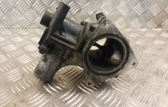 Volkswagen Transporter - Caravelle T5 EGR valve 076131501B 700823040
