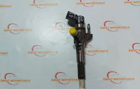 Citroen DS4 Fuel injector 9802448680