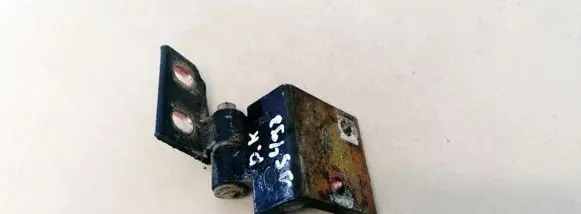 Peugeot 406 Front door upper hinge
