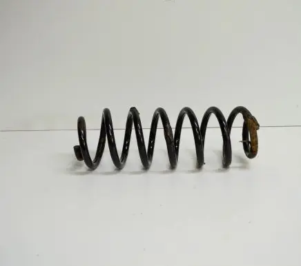 Volkswagen PASSAT B7 Rear coil spring