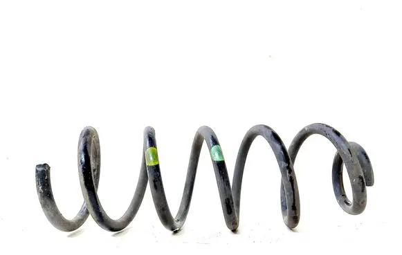 Rear coil spring