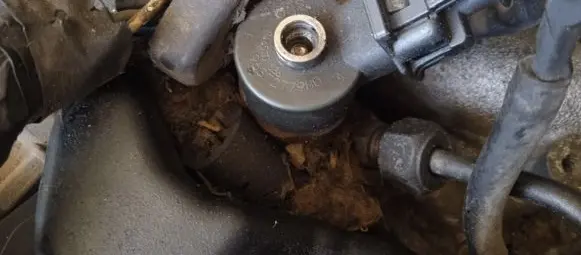 Peugeot 807 Fuel injector 0445110036 9637277980