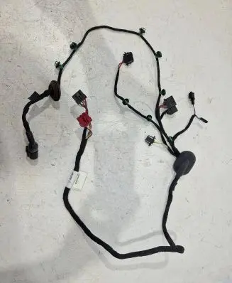 Volkswagen Phaeton Front door wiring loom 3D1971121