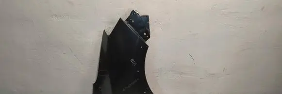 Dacia Lodgy Fender 631007298R