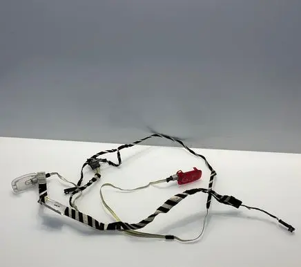 Mercedes-Benz S W221 Rear door wiring loom 2215408609 A2215408609