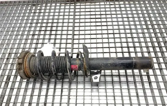 Volkswagen Golf V Front shock absorber/damper 