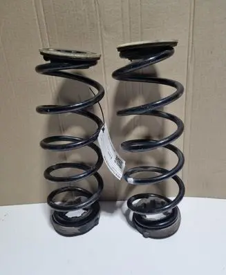 Rear coil spring