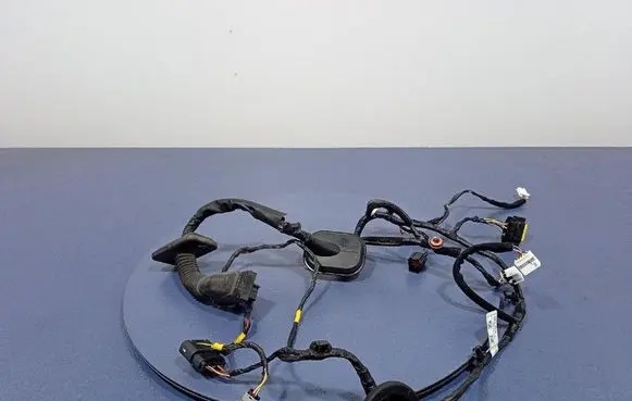 Other wiring loom