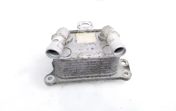 Nissan Juke II F16 Engine oil radiator 268247