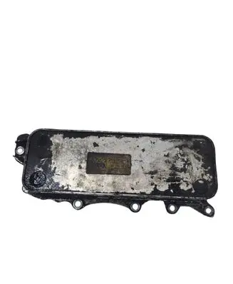 Jeep Grand Cherokee (WK) Engine oil radiator A6421800165 101181201282
