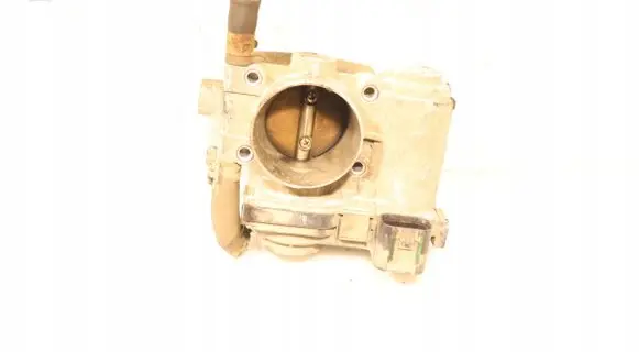 Throttle body valve