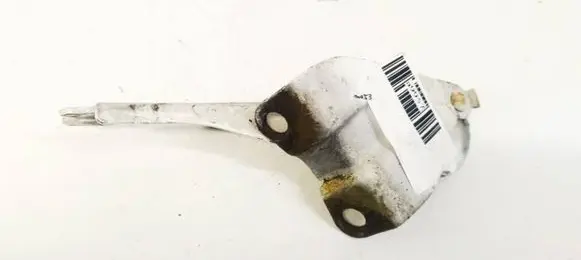 Engine bonnet/hood hinges