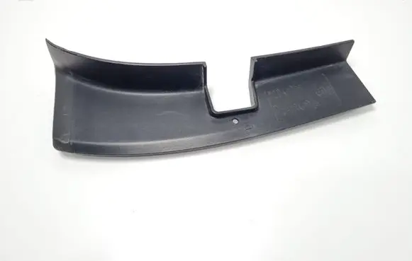 Rear/tail light trim molding