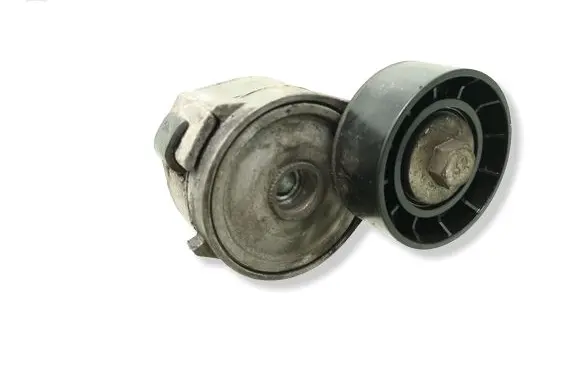 Ford S-MAX Generator/alternator belt tensioner 255230