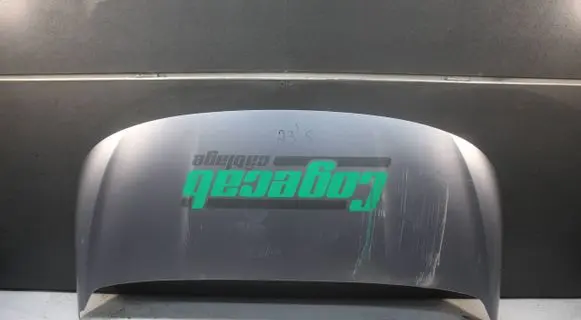 Opel Combo E Engine bonnet/hood 