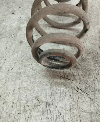 Volkswagen PASSAT B5 Rear coil spring
