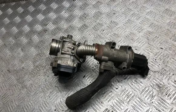 EGR valve