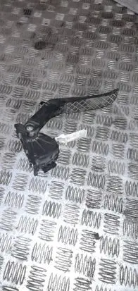 Volkswagen Touareg I Accelerator throttle pedal 7L0723507