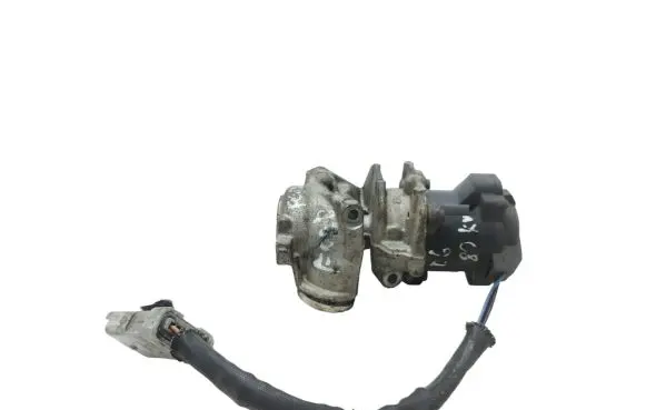 Ford Focus C-MAX EGR valve EN48000