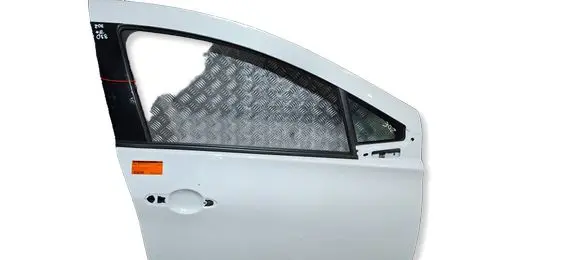 Renault Zoe Front door S26301058