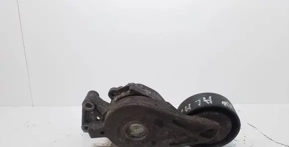 Seat Alhambra (Mk1) Generator/alternator belt tensioner 038903315