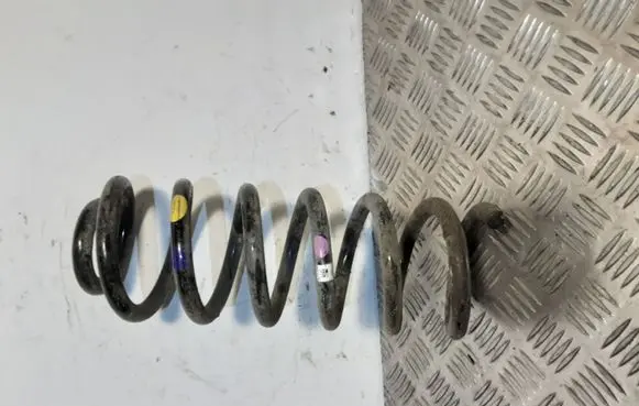 Rear coil spring