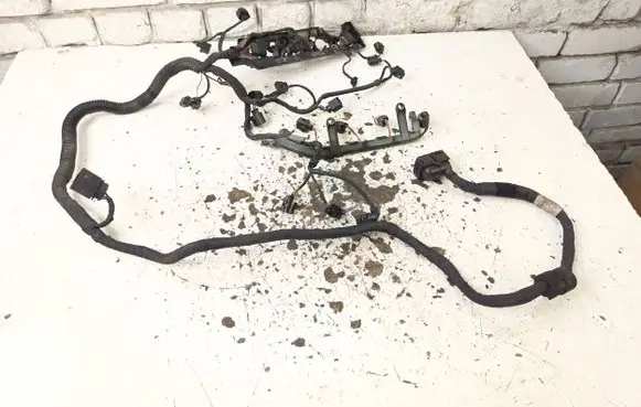 Engine installation wiring loom