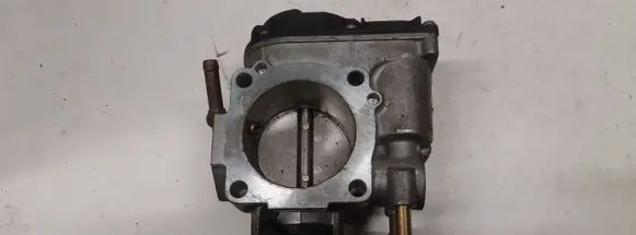 Volkswagen New Beetle Throttle valve 06A133064H