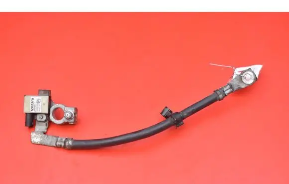 Other wiring loom