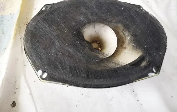 Dodge Journey Front door speaker 05091019ab