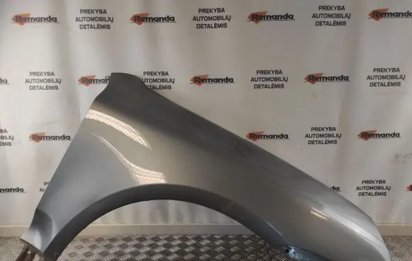 Porsche Cayenne (9PA) Fender
