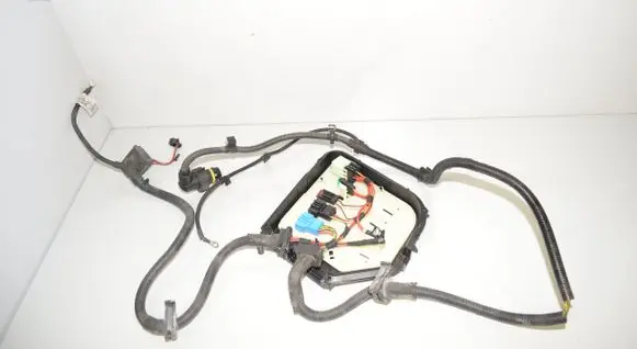 Engine installation wiring loom
