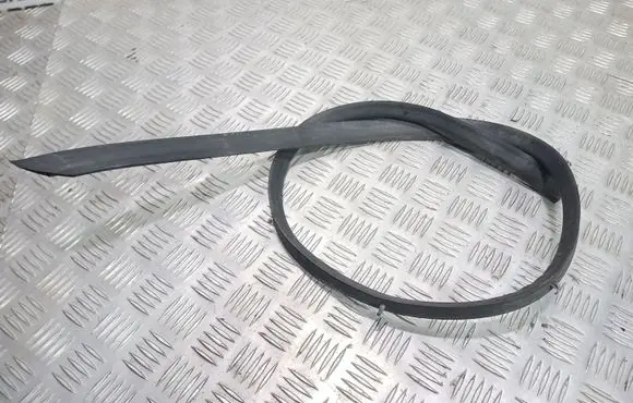 Opel Insignia A Front door rubber seal 13333141 360574169