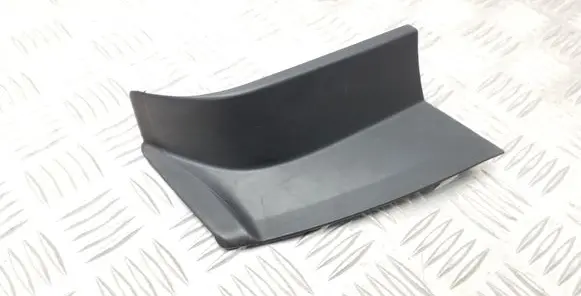 Rear/tail light trim molding