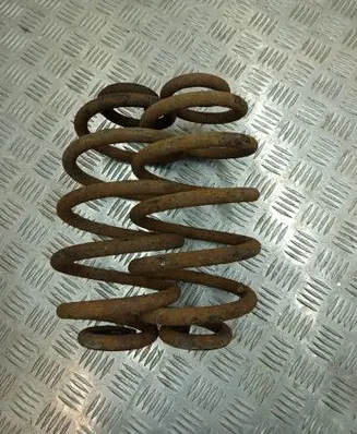 Rear coil spring