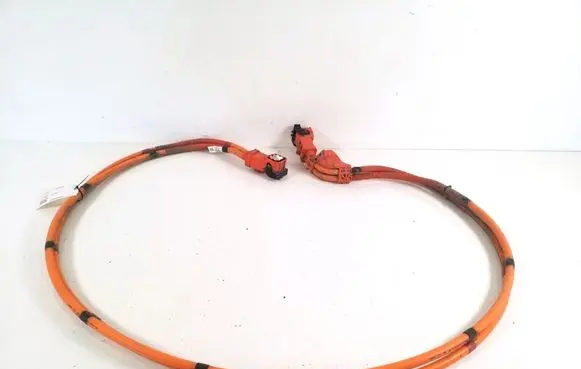 Tesla Model Y Other wiring loom 110900300E