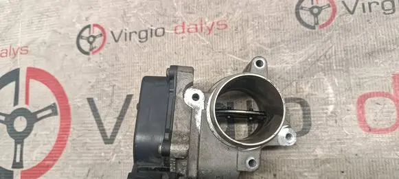 Volkswagen Golf VI Throttle valve