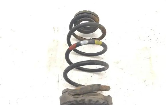 Rear coil spring