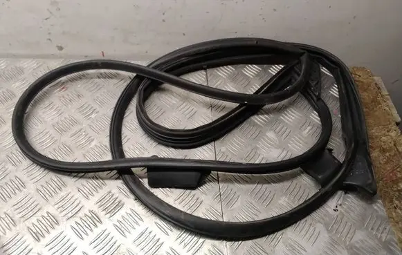 Toyota RAV 4 (XA50) Rubber seal front door (on door) 310BX05