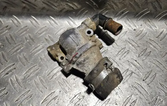 Thermostat/thermostat housing