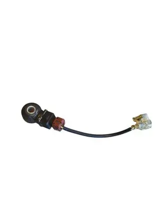 Subaru Forester SF Detonation knock sensor 