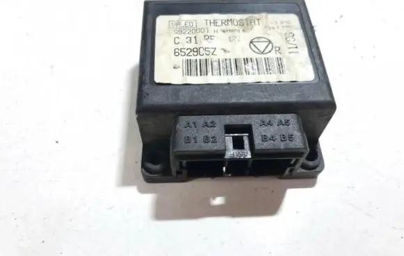 Peugeot 406 Other control units/modules s9220001h 652905z