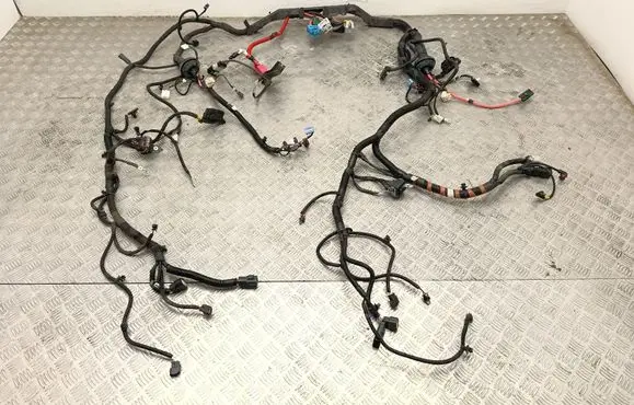 Tesla Model Y Wiring harness 248905808B