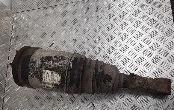 Land Rover Discovery 4 - LR4 Rear shock absorber/damper 22250006