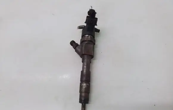 Renault Scenic II - Grand scenic II Fuel injector 0445110021