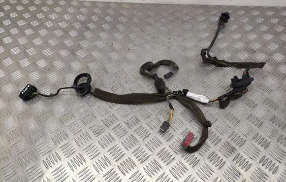 Rear door wiring loom