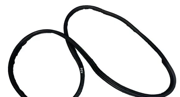 BMW X2 F39 Rear door rubber seal (on body) 7420803
