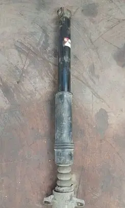 Peugeot 307 CC Rear shock absorber/damper AGP113MT