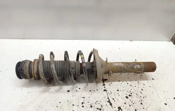 Front shock absorber with coil spring